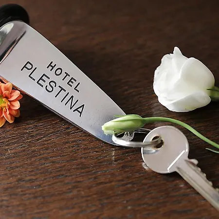 Plestina Ristorante Pizzeria 콜피오리토